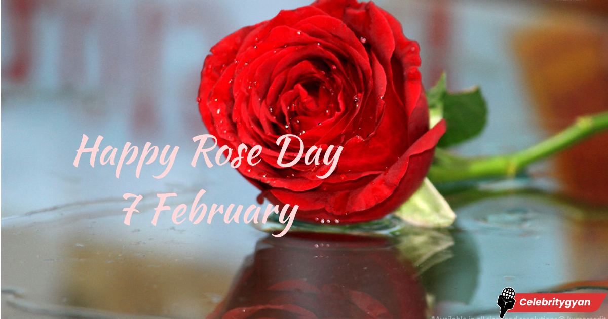 Rose Day marks the beginning of Valentine’s : 7 February